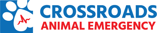 Crossroads Animal Emergency 